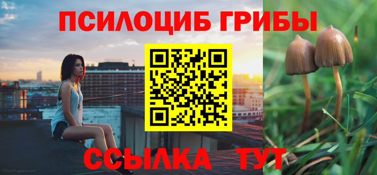 Тольятти  Псилоцибиновые грибы прущие грибы  где можно купить наркотик  Вход с VPN 
